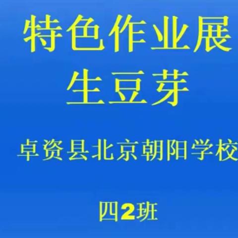 “疫”样时光，“童”样精彩——记四（2）班落实“双减”之小豆芽成长记