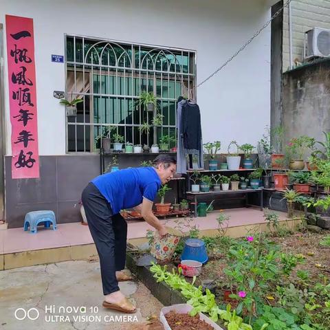 大成镇西庆居开展预防登革热环境卫生整治