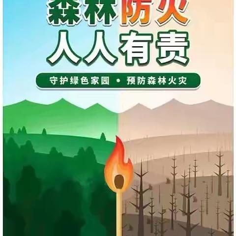 森林防火   人人有责——“小手拉大手”森林防火进校园