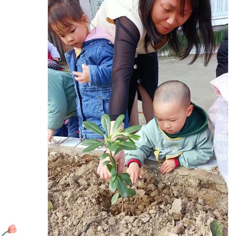 春回大地，万物复苏———万福幼儿园与春天约会