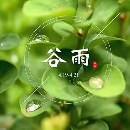 谷雨时节识谷雨———磐石中心幼儿园中二班谷雨节气主题教育活动