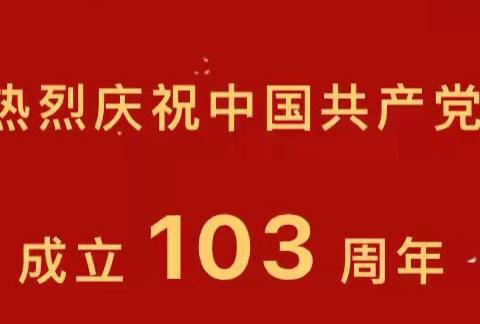 政治生日忆初心 牢记嘱托建新功——温泉县哈日布呼中学开展迎“七·一”建党节主题党日活动