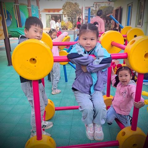 我的观察故事 “百变万能工匠” ——红莲湖中心幼儿园