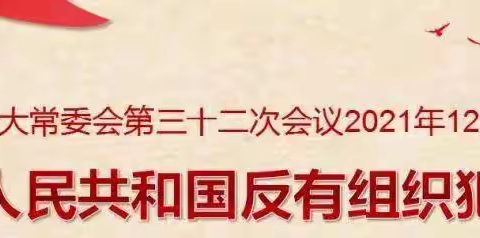 【华安保险临汾中支】反有组织犯罪法宣传