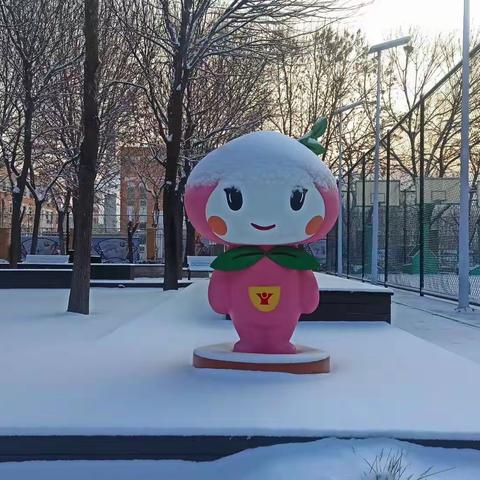 “积规成习”——北京市育英学校密云分校2023级小初衔接课程