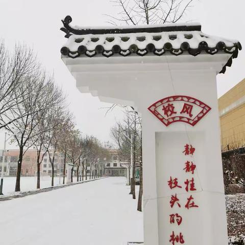 做精心“育桃”人 培育一颗好“桃子”