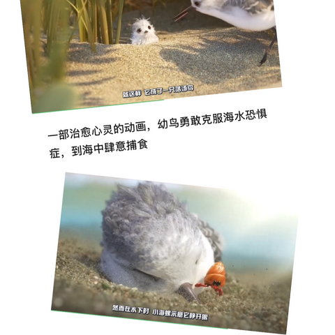 思维模式大不同——成长型思维训练课程2