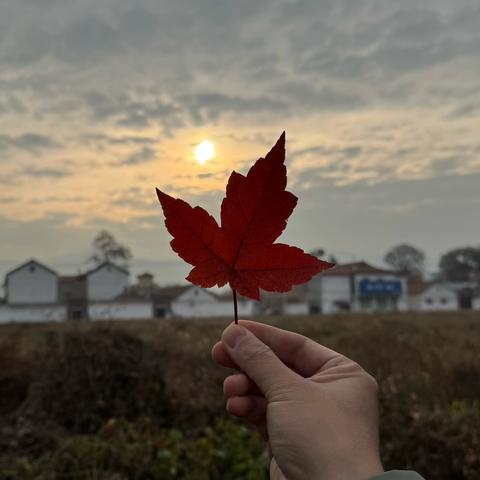 麻醉学模拟教研团队2024年大事记