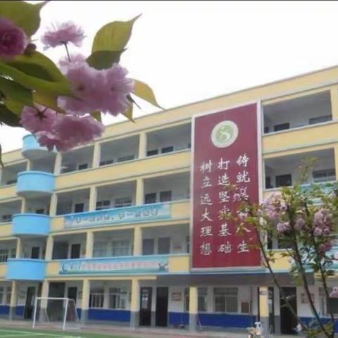 精彩寒假 缤纷生活——文昌小学五二班寒假生活掠影