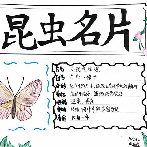 探秘昆虫，爱上阅读 ——台山市学业初级中学八8班举行“昆虫名片”作业设计比赛