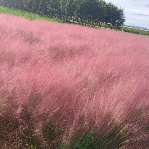 以研促教，“英”你精彩——城关初中英语教研活动纪实