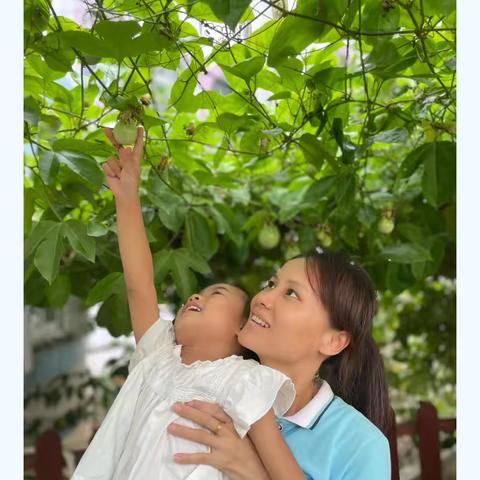 龙骅幼儿园“市一级幼儿园”小二班“缤纷🍧夏日  限定成长🌱”