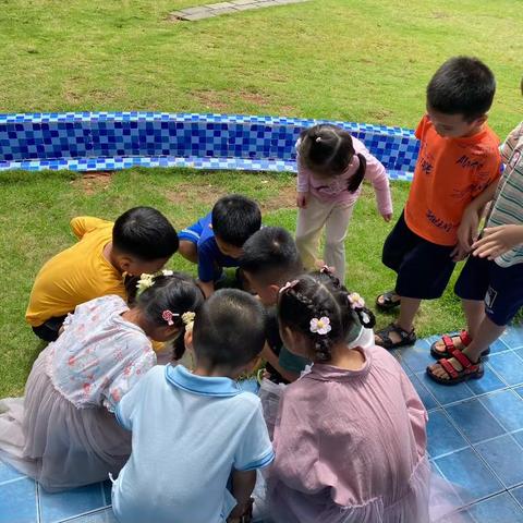 龙骅幼儿园——“市一级幼儿园”大一班十月生活小记📝 金秋十月，硕果累累🍂