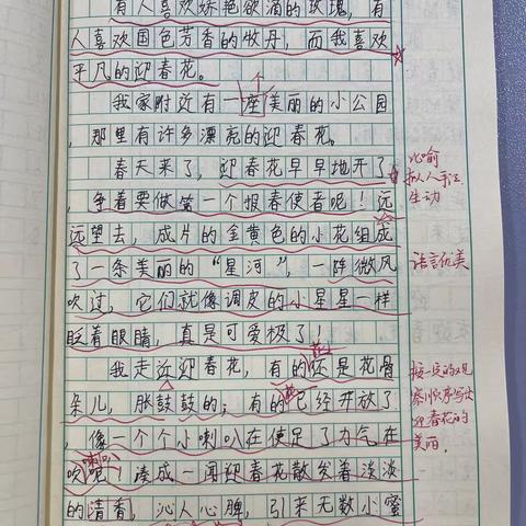 习作分享1——我最喜欢的植物