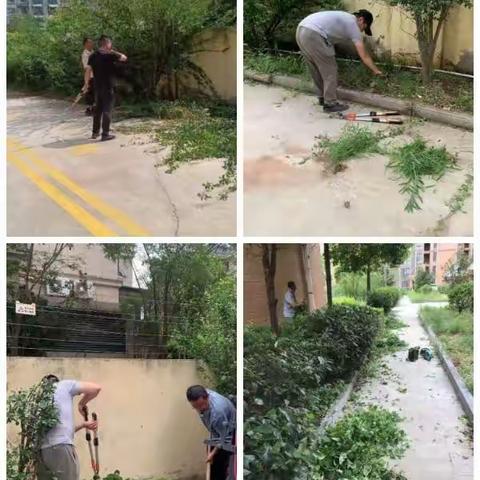 【魏北街道郭楼社区】环境整治不停歇 居住环境大提升