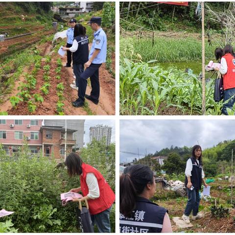 南街社区采取“联动踏查+入户宣传”措施织密禁毒防线