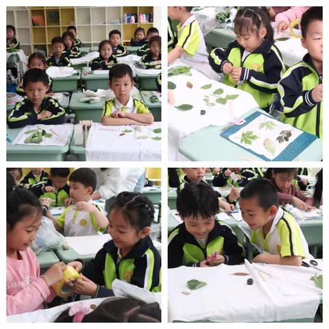 大自然的印章丨育晖小学一年级学生体验植物拓染传统工艺活动