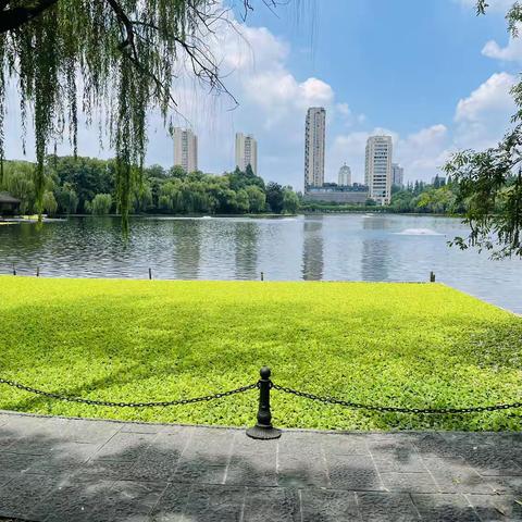 领名家名师风范，悟名师发展之道 —— 红安县名师工作室主持人及骨干成员培训班