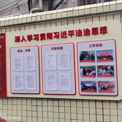 永川区城市管理局扎实开展宪法宣传活动