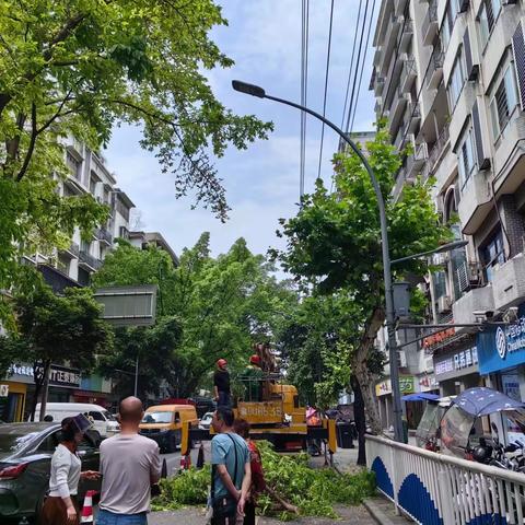 区城市管理局安全工作日报告