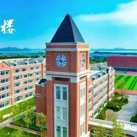 云端学习进行时 不负时光不负己——八年级网课学习纪实