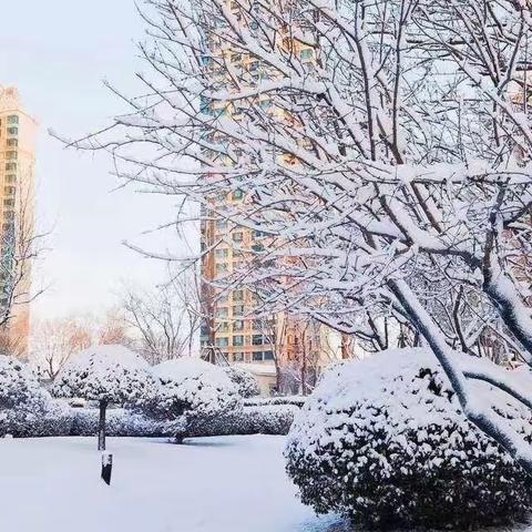 瑞赢物业大成岳府B区12月份月度管理报告