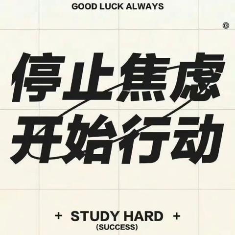 东初肖博文704语文学习方法分享