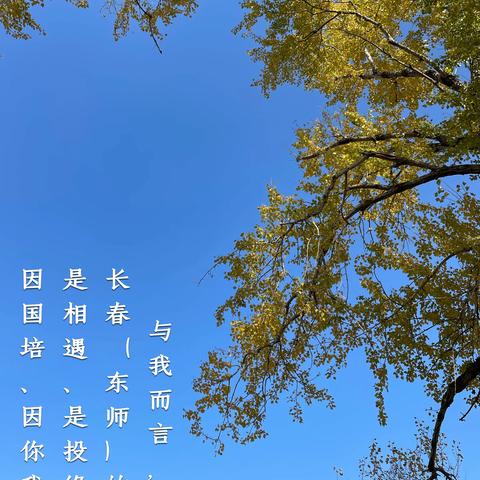 东师，最美丽的遇见！