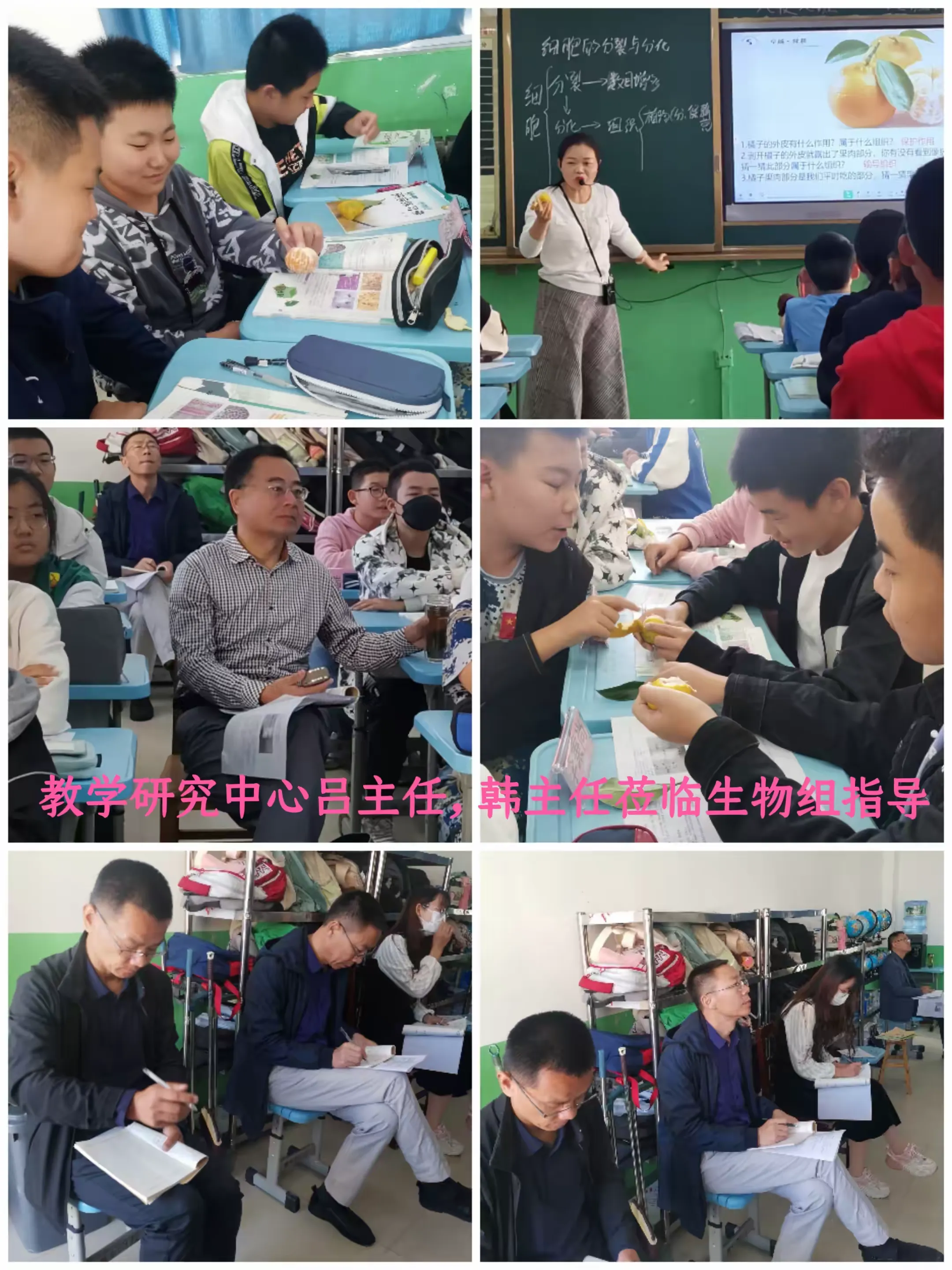 简篇-教学研究中心莅临舜耕中学教学调研