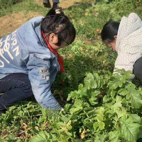 东风送暖，传承雷锋精神-东和乡中心小学送温暖活动