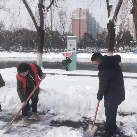 东城区生态环境分局组织开展扫雪除冰工作