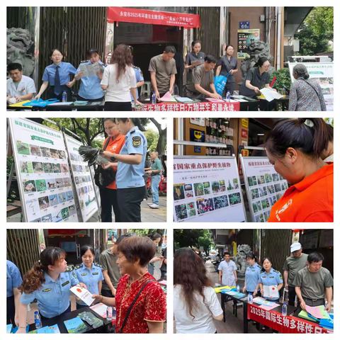 永安生态环境局组织开展2025年六五环境日“美丽中国我先行”主题宣传实践活动