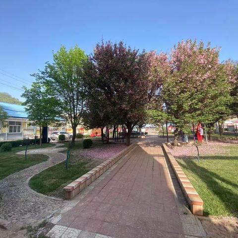 【美丽型社区】红化社区——提升宜居环境，创造美丽家园