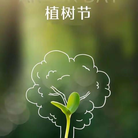 “相逢植树节，爱在春风里”—丁庄街道中心幼儿园中三班植树节活动