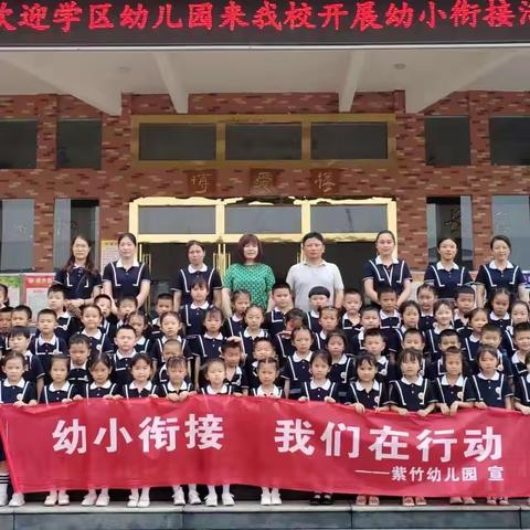 【幼小衔接】幼小衔接，我们在行动—紫竹幼儿园