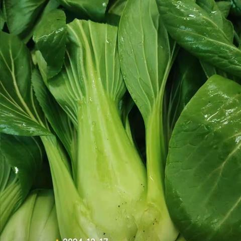“烹”然心动，不负美好“食”光 “食”刻相伴，用心做好每一餐