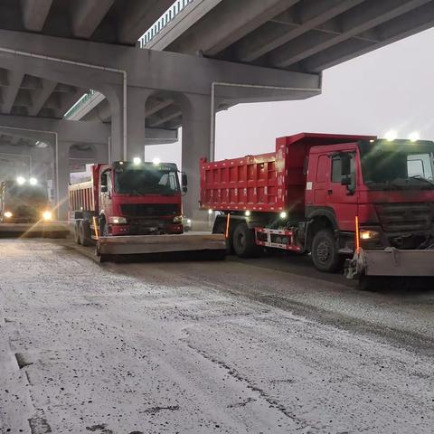 道里区城管局快速迎战2025年首场降雪