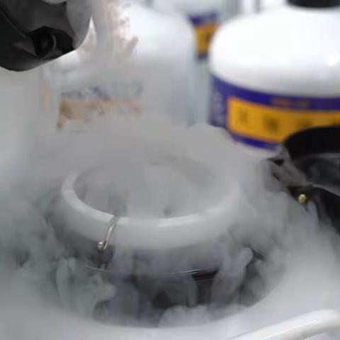 液氮罐储存冻精需要提前放入液氮吗？