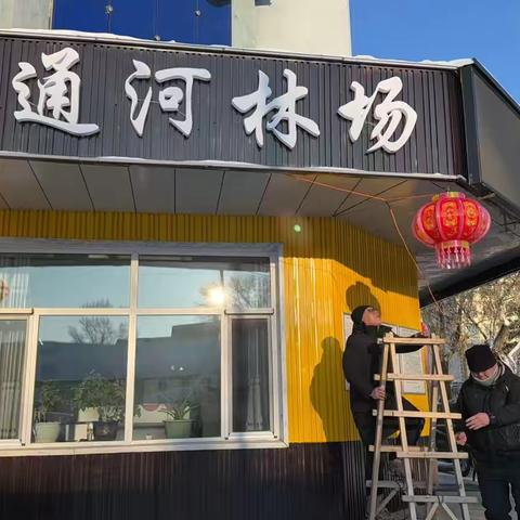 守护青山不打烊—湖通河林场“多点开花”贺新春