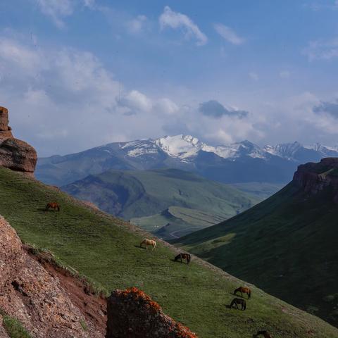 库其巴依 （摄影师）的文章