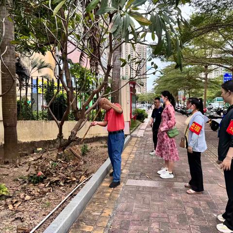 金鸡岭路社区每日工作简报