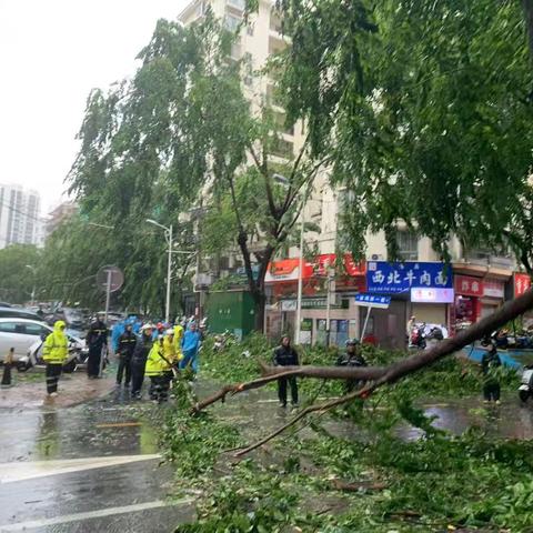 金鸡岭路社区每日工作简报