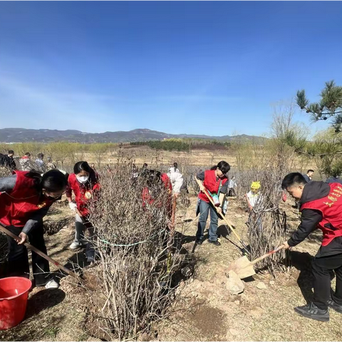 太原市农业农村局 开展2024年全民义务植树活动