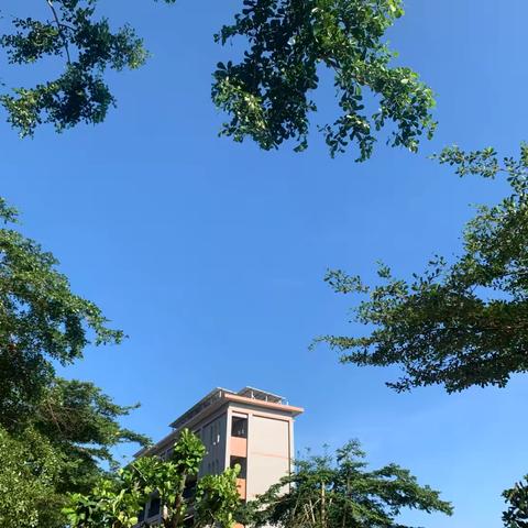 凤凰引领 ‍周末阅读分享会（第174期）