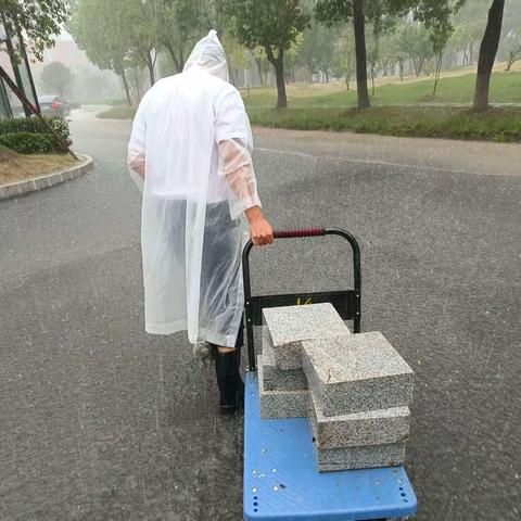 风雨中坚守，筑牢防汛“安全墙”