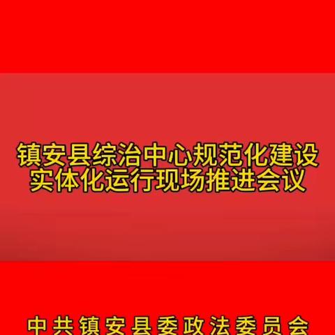 镇安县召开综治中心规范化建设实体化运行现场推进会