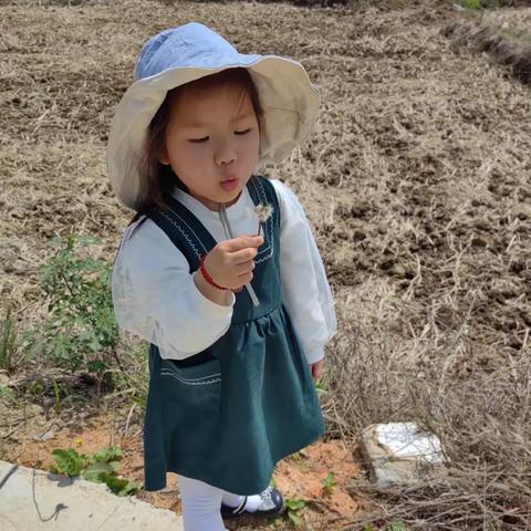 “语”润童心  以“ 言”提能一一汉上娃娃城幼儿园“书香润童心，阅读伴成长”故事汇专栏第三十八期