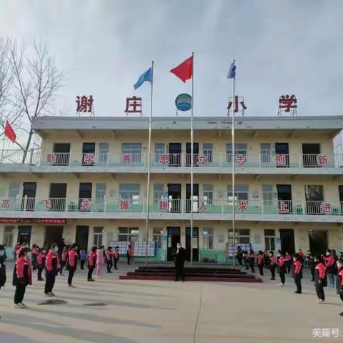 坞墙镇谢庄小学“停课不停学，成长不止步”教学纪实！