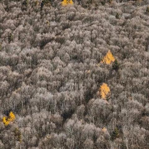 近期你有旅行计划吗？如果没有直接来西藏旅游就对了