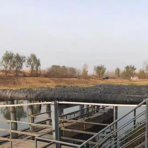 顺鑫控股以科技创新引领发展，旗下企业斩获多项荣誉